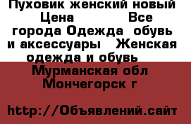 Пуховик женский новый › Цена ­ 2 600 - Все города Одежда, обувь и аксессуары » Женская одежда и обувь   . Мурманская обл.,Мончегорск г.